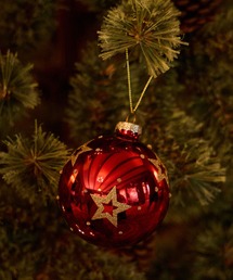 niko and...(jRAh)́y2024Xmaszbh`[tI[ig(CeAG)