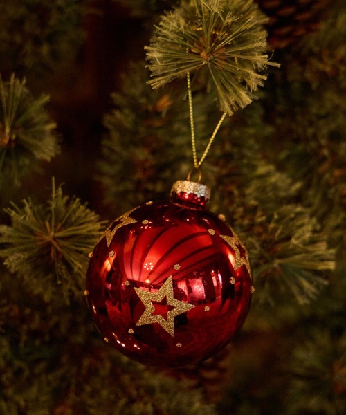 セール】【2024Xmas】レッドモチーフオーナメント（インテリア雑貨