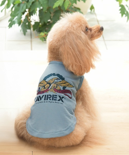 AVIREX（アヴィレックス）の「AVIREX/イーグルタンクトップ（ペットウェア・メンズ・ブルー/グレー・3M/3L/S/M/L/XS/3S/2L）」の2枚目の写真