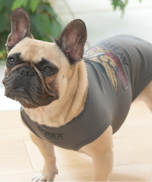 AVIREX（アヴィレックス）の「AVIREX/イーグルタンクトップ（ペットウェア・メンズ・ブルー/グレー・3M/3L/S/M/L/XS/3S/2L）」の6枚目の写真