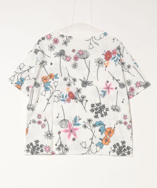 10%OFFクーポン Tシャツ レディース BARNDOOR バーンドア 20天竺 衿リブ プリント Tシャツ 1191189G 春 夏 カットソー 半袖 5分袖 薄手 涼しい 花柄 フラワー BARNDOOR 10%OFFクーポン Tシャツ レディース バーンドア 20天竺