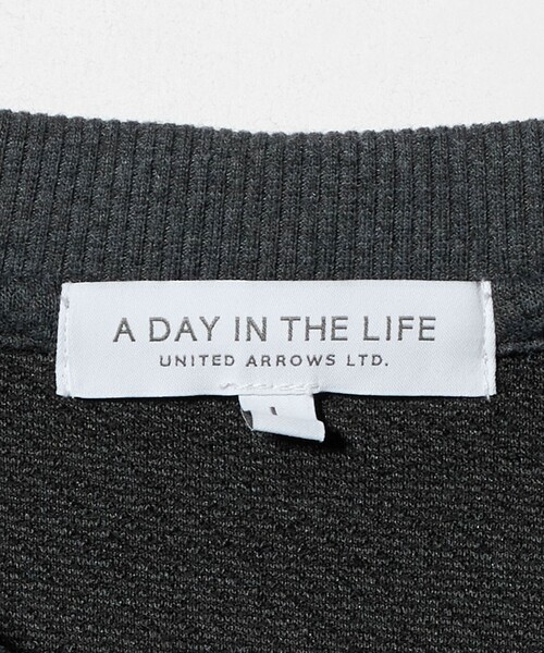A DAY IN THE LIFE UNITED ARROWS(アデイインザライフユナイテッドアローズ)の「バウンシー ジャガード キリカエカットソー<A DAY IN THE LIFE>(Tシャツ/カットソー・メンズ・ブラック/ダークグレー/ホワイト・M/L)」の14枚目の写真