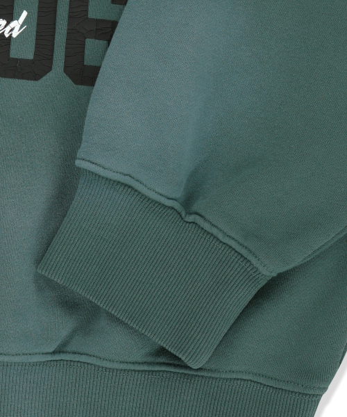 BROWNBREATH（ブラウンブレス）の「BREATH WASHED HOODIE - GREEN（パーカー・レディース・その他・LARGE/X-LARGE/SMALL/MEDIUM）」の10枚目の写真