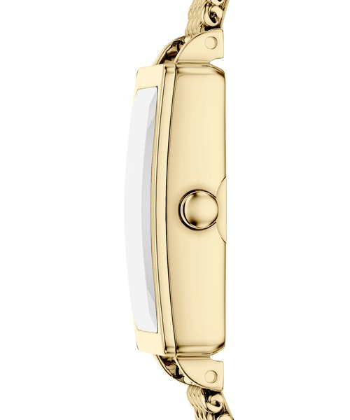 SKAGEN（スカーゲン）の「スカーゲン 腕時計 レディース アナログ ステンレス SKW3186（アナログ腕時計・レディース・ゴールド・FREE）」の5枚目の写真