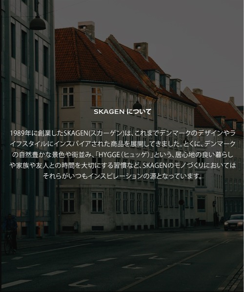 SKAGEN（スカーゲン）の「スカーゲン 腕時計 レディース アナログ ステンレス SKW3186（アナログ腕時計・レディース・ゴールド・FREE）」の14枚目の写真
