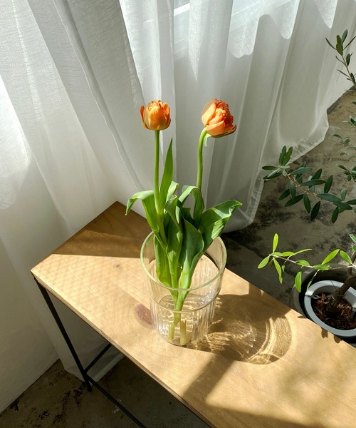 CAPRICIEUX LE'MAGE（カプリシューレマージュ）の「〈WEB・一部店舗限定〉クーレラインフラワーベース　マルシュL（フラワーベース・レディース・クリア・FREE）」の5枚目の写真