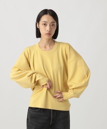 STERNBERG | シルクコットンニットプルオーバー(ニット/セーター)