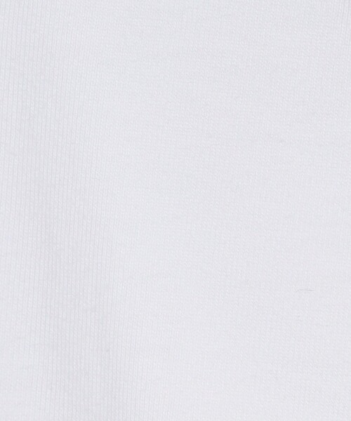 HANES(ヘインズ)の「【別注】 <Hanes> ビーフィー Tシャツ(Tシャツ/カットソー・メンズ・ブラック/ホワイト/ライトグレー/ライム・S/M/L/XL)」の15枚目の写真