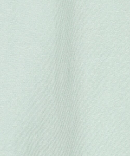 HANES(ヘインズ)の「【別注】 <Hanes> ビーフィー Tシャツ(Tシャツ/カットソー・メンズ・ブラック/ホワイト/ライトグレー/ライム・S/M/L/XL)」の21枚目の写真