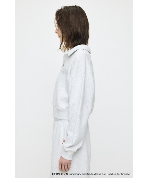 MOUSSY(マウジー)の「HERSHEY'S POLO SWEAT プルオーバー(スウェット・レディース・ブラウン/杢グレー・FREE)」の14枚目の写真
