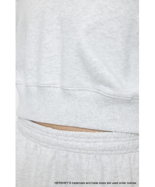 MOUSSY(マウジー)の「HERSHEY'S POLO SWEAT プルオーバー(スウェット・レディース・ブラウン/杢グレー・FREE)」の19枚目の写真