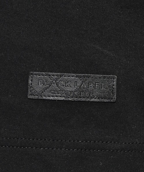 BLACK LABEL CRESTBRIDGE（ブラックレーベル・クレストブリッジ）の「【WEB限定】マーセライズVネックTシャツ（Tシャツ/カットソー・メンズ・ネイビー/ブラック/オフホワイト・XL/L/M）」の14枚目の写真