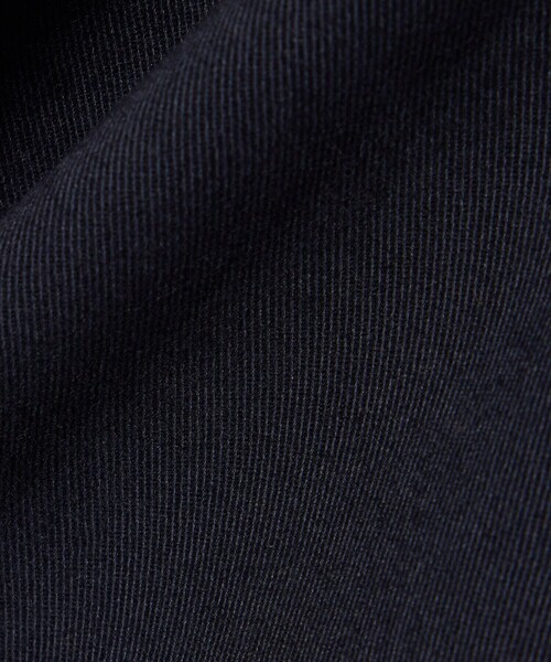 LACOSTE(ラコステ)の「ストレッチチノバミューダショーツ(その他パンツ・メンズ・ダークネイビー/モスグリーン・31/32)」の4枚目の写真