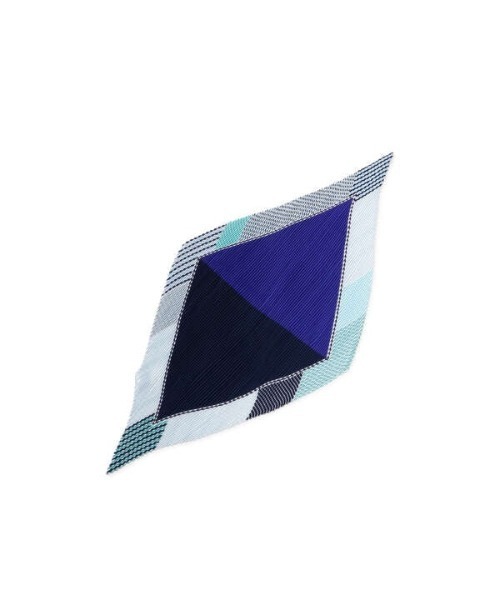 N.(N. Natural Beauty Basic)(エヌエヌナチュラルビューティーベーシック)の「プリーツラウンドボーダースカーフ(ストール/ショール・レディース・ブルー/イエロー・フリ-)」の6枚目の写真