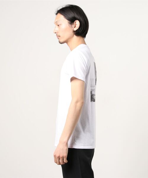 CAL．Berries（カルベリーズ）の「CAL.Berries/カルベリーズ　フォトTシャツ（Tシャツ/カットソー・レディース・ホワイト系その他/ホワイト系その他2・MEDIUM/LARGE）」の4枚目の写真