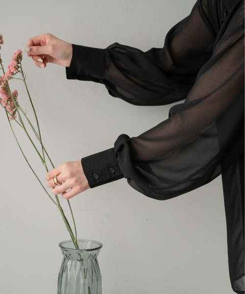 Ambre Ciel（アンブルシエル）の「バンドカラーシアーシャツ／【WEB/EC限定商品】（シャツ/ブラウス・レディース・ブラック/ピンク/オフホワイト/ライトグリーン・FREE）」の6枚目の写真