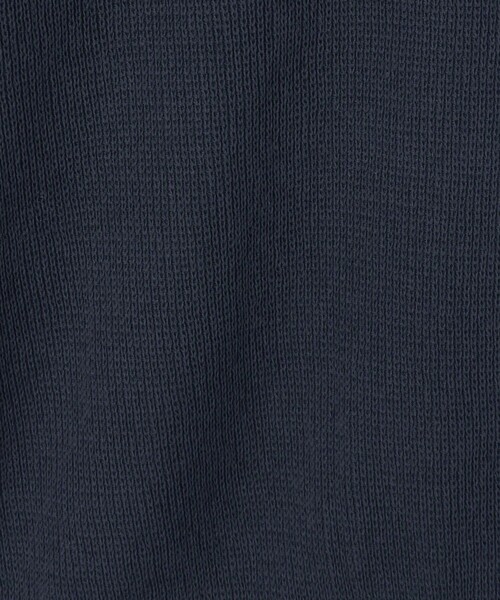 green label relaxing（グリーンレーベルリラクシング）の「ギマ ループ Tシャツ（Tシャツ/カットソー・メンズ・ネイビー/ライトグレー/ライラック・S/XL/M/L）」の21枚目の写真