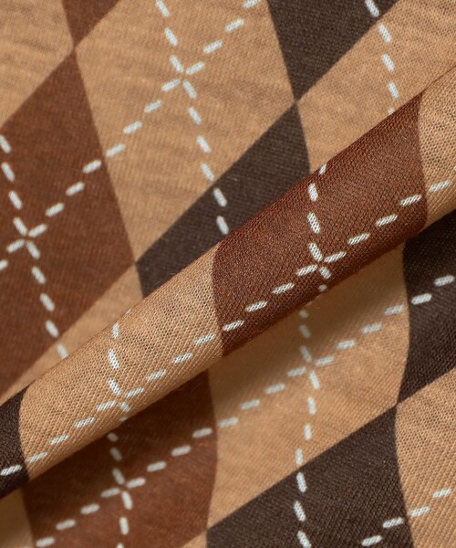 Ray BEAMS(レイビームス)の「アーガイルプリント クルーネック トップス(Tシャツ/カットソー・レディース・ブラウン/パープル・ONE SIZE)」の15枚目の写真