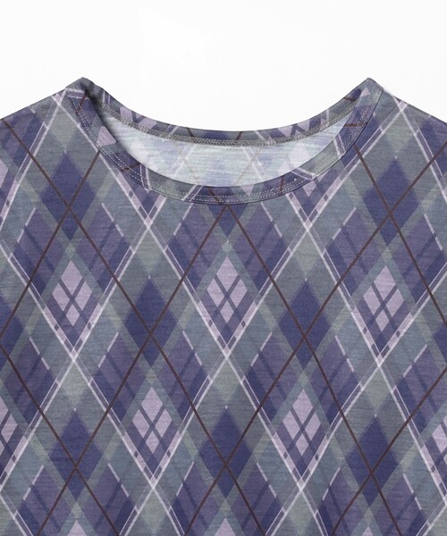Ray BEAMS(レイビームス)の「アーガイルプリント クルーネック トップス(Tシャツ/カットソー・レディース・ブラウン/パープル・ONE SIZE)」の17枚目の写真