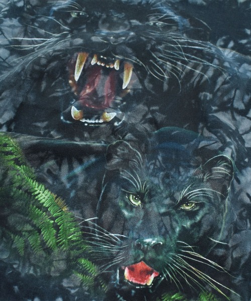 LABORATORY R(ラボラトリーアール)の「【USED】90’s Back To Earth “Black panther” タイダイ アニマル Tシャツ(Tシャツ/カットソー・メンズ・ネイビー・LARGE)」の6枚目の写真