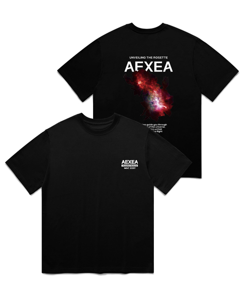 AEXEA(アクシー)の「ジャスミンソンウム 半袖Tシャツ F05BRD_ABX11068(Tシャツ/カットソー・メンズ・ホワイト/ブルー/グレー系その他/ブラック・S/XL/M/L)」の3枚目の写真