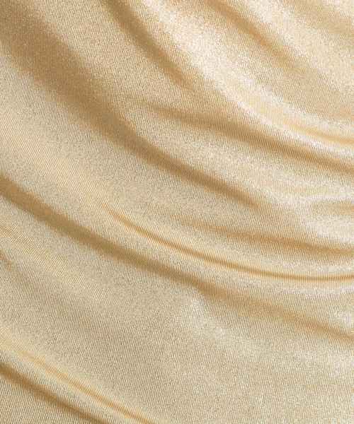INDIVI(インディヴィ)の「シャイニータンクトップ(タンクトップ・レディース・ベージュ/グレー/グレー系1・40/38/36)」の11枚目の写真