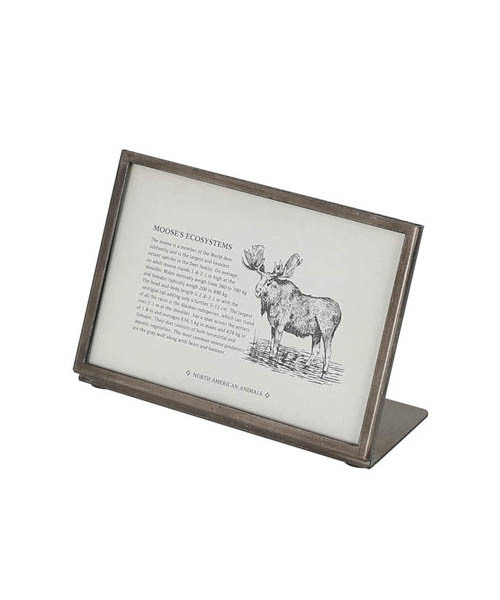 DULTON(ダルトン)の「METAL FRAME 10 / メタル フレーム(フォトフレーム・メンズ・その他・FREE)」の2枚目の写真