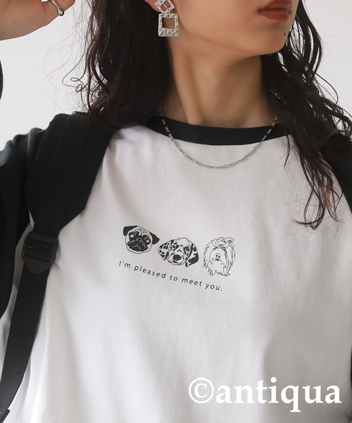 antiqua（アンティカ）の「綿100%アニマルロゴロンＴ（Tシャツ/カットソー・レディース・ブルー系その他/グリーン系その他/ブラック系その他・FREE）」の5枚目の写真