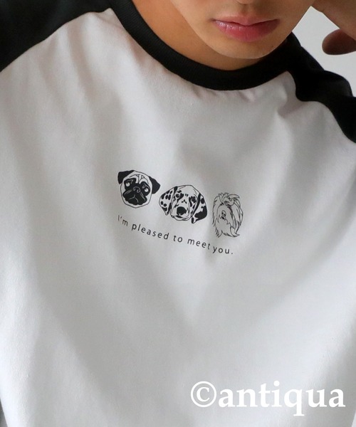 antiqua（アンティカ）の「綿100%アニマルロゴロンＴ（Tシャツ/カットソー・レディース・ブルー系その他/グリーン系その他/ブラック系その他・FREE）」の11枚目の写真