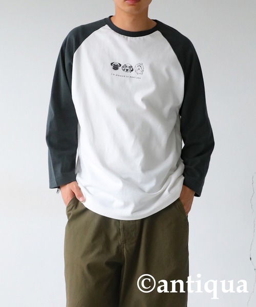 antiqua（アンティカ）の「綿100%アニマルロゴロンＴ（Tシャツ/カットソー・レディース・ブルー系その他/グリーン系その他/ブラック系その他・FREE）」の13枚目の写真