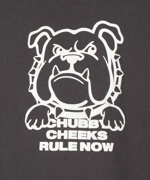 GLOBAL WORK（グローバルワーク）の「USAグラフィックパーカー/AND YUA ANY/589083（パーカー・キッズ・チャコールグレー/ブルー/ブラック/グレー系その他/パープル系その他7/グレー系その他7・SMALL/MEDIUM/LARGE）」の13枚目の写真