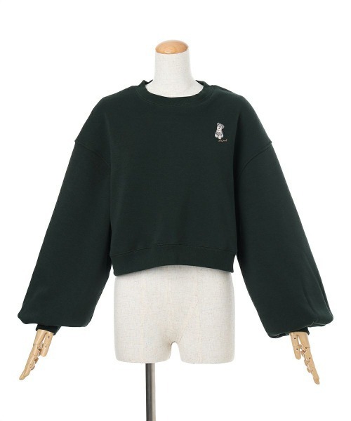 F i.n.t（フィント）の「シュナウザー刺繍スウェット/fint フィント（スウェット・レディース・ライトグレー/アイボリー/グリーン・FREE）」の15枚目の写真