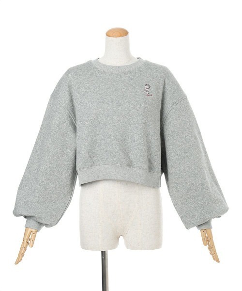 F i.n.t（フィント）の「シュナウザー刺繍スウェット/fint フィント（スウェット・レディース・ライトグレー/アイボリー/グリーン・FREE）」の16枚目の写真