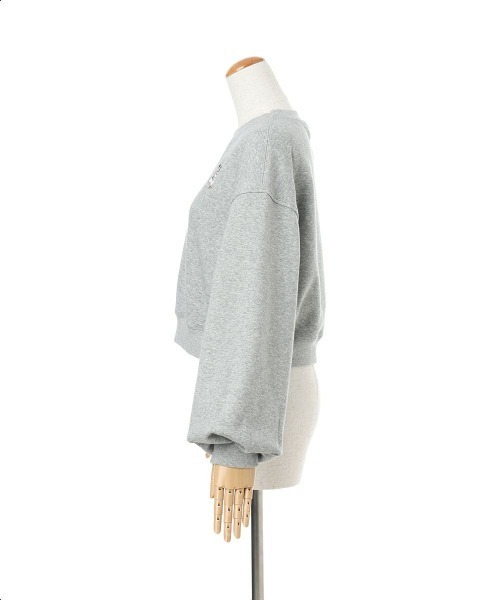 F i.n.t（フィント）の「シュナウザー刺繍スウェット/fint フィント（スウェット・レディース・ライトグレー/アイボリー/グリーン・FREE）」の18枚目の写真