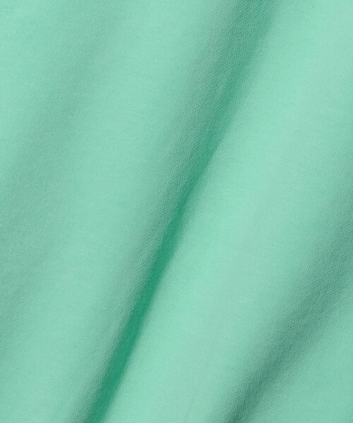 California General Store（California General Store）の「＜CGS.＞オーガニックコットン スウェット ジップ パーカー（パーカー・メンズ・ロイヤルブルー/ライム/ホワイト・L/S/M）」の20枚目の写真