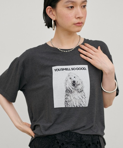 LARUTA（ラルータ）の「【LARUTA】アニマルフォトTee（Tシャツ/カットソー・レディース・ブラウン/オフホワイト/チャコールグレー/その他1・FREE）」の6枚目の写真
