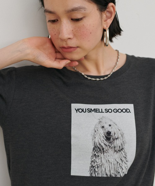 LARUTA（ラルータ）の「【LARUTA】アニマルフォトTee（Tシャツ/カットソー・レディース・ブラウン/オフホワイト/チャコールグレー/その他1・FREE）」の17枚目の写真
