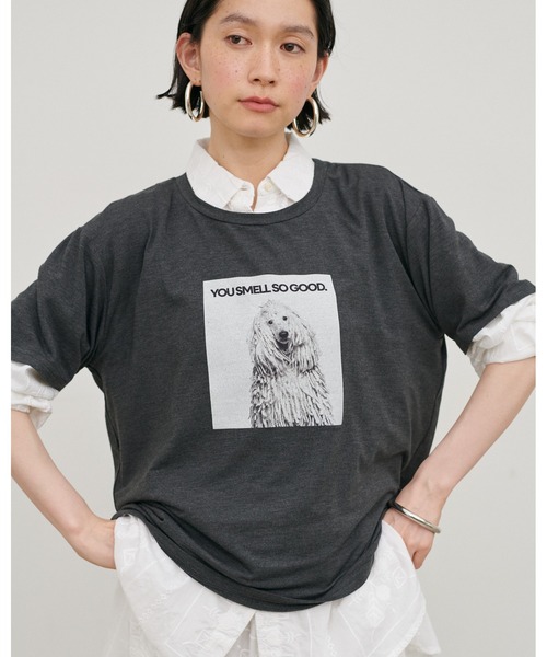 LARUTA（ラルータ）の「【LARUTA】アニマルフォトTee（Tシャツ/カットソー・レディース・ブラウン/オフホワイト/チャコールグレー/その他1・FREE）」の10枚目の写真
