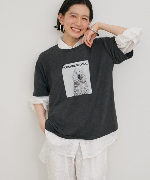 LARUTA（ラルータ）の「【LARUTA】アニマルフォトTee（Tシャツ/カットソー・レディース・ブラウン/オフホワイト/チャコールグレー/その他1・FREE）」の11枚目の写真