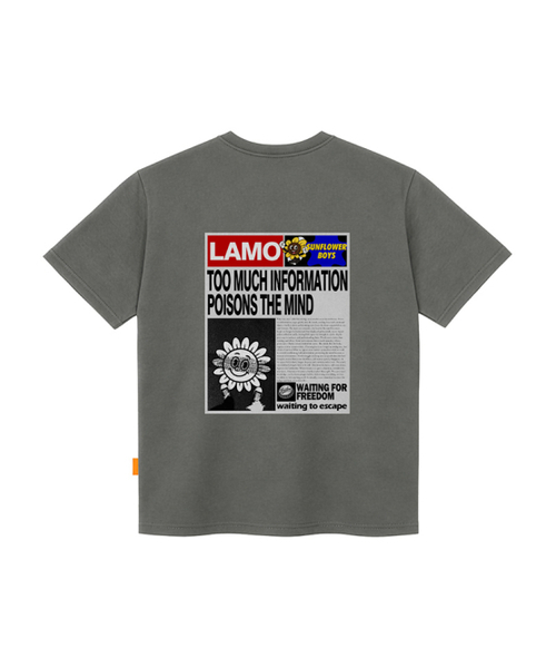 LLAMO(エラモ)の「ラモペーパー 半袖Tシャツ 男女共用 ビッグサイズ(Tシャツ/カットソー・メンズ・ホワイト/チャコールグレー/ブラック/ベージュ・SMALL/MEDIUM/LARGE/X-LARGE/2XL/4XL/3XL)」の6枚目の写真