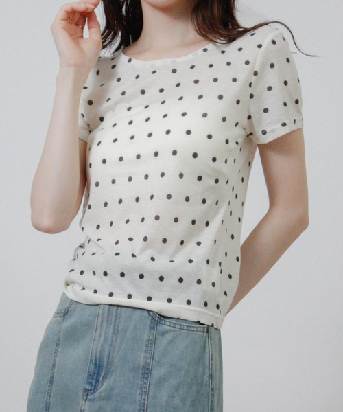 NYLAUS(ナイラス)の「【SG】ドット シアーTシャツ 半袖(Tシャツ/カットソー・レディース・ブラック/グレー/オフホワイト・M)」の6枚目の写真