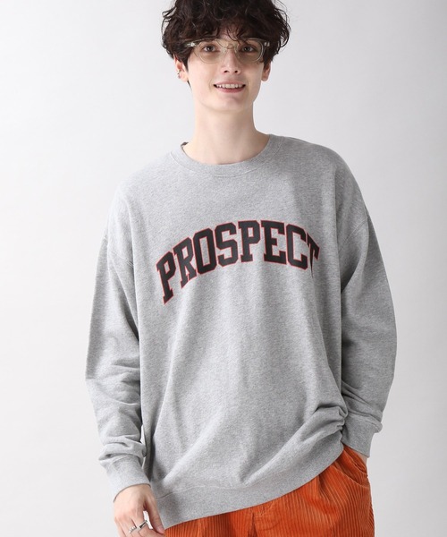 RAGEBLUE（レイジブルー）の「【SIGNAL SPORTS】カレッジスウェットクルー/227988（スウェット・メンズ・パープル/レッド/ダークグリーン/グレー系その他・MEDIUM/LARGE/X-LARGE）」の13枚目の写真