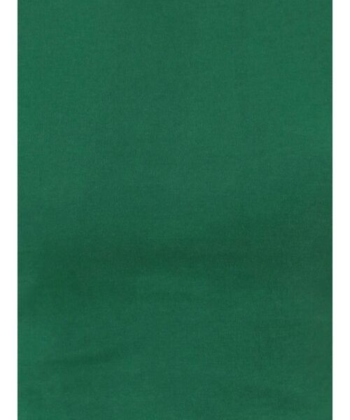 EVRIS（エヴリス）の「BASICクロップドロングスリーブTEE（Tシャツ/カットソー・レディース・ホワイト/ブラック/パープル/グリーン・FREE）」の22枚目の写真