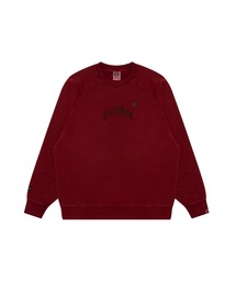 A BATHING APE スウェット赤カモ初期モデル A BATHING APE(アベイシングエイプ) 赤カモ初期 Tシャツ レッド