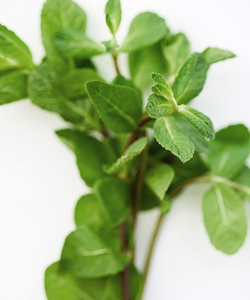 LIPPS（リップス）の「スタイリングバーム 40g（ヘアスタイリング/ヘアワックス・メンズ・その他・FREE）」の2枚目の写真