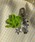 WEGO�i�E�B�S�[�j�́uWEGO/�N���[�o�[�r�[�Y�L�[�z���_�[�i�L�[�z���_�[�j�v�b���̑�5