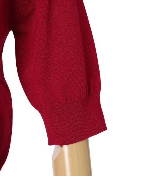 an another angelus（アンアナザーアンジェラス）の「ANロゴ刺繍ニットポロ（ポロシャツ・レディース・ブラック/レッド/アイボリー/ミント・FREE）」の13枚目の写真