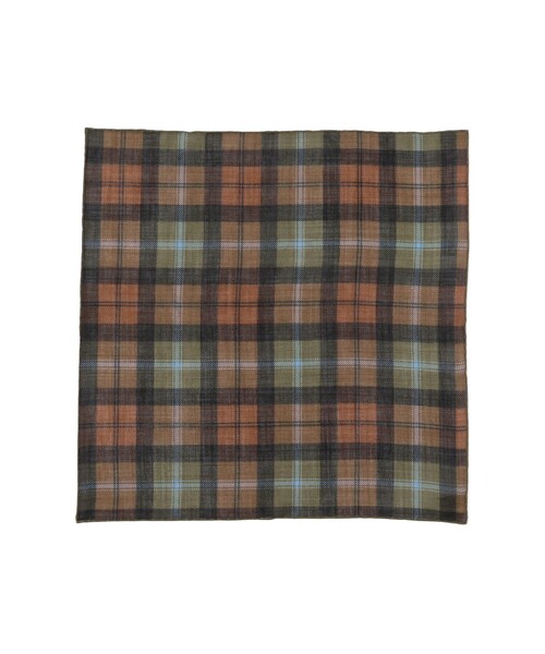 BEAMS F(ビームスエフ)の「TUDOR ROSES / ウールシルク チェック柄 ポケットチーフ(ハンカチ/ハンドタオル・メンズ・グリーン系その他5/ブラウン・ONE SIZE)」の1枚目の写真