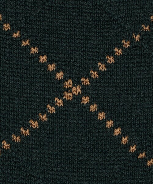 Bresciani（ブレシアニ）の「BRESCIANI ウールナイロン アーガイルソックス（ソックス/靴下・メンズ・ブラック系その他/レッド系その他2/グリーン系その他・FREE）」の9枚目の写真