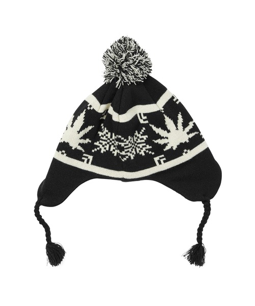 ARCTIC PLANTLIFE BRAIDED BEANIE（ニットキャップ/ビーニー）｜HUF